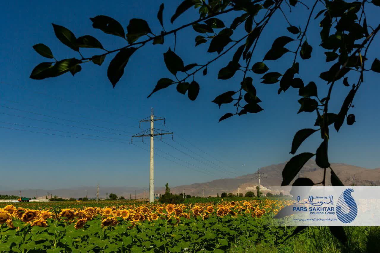 ایستادگی در میان زیبایی….✨  دکل‌های تک‌پایه خودایستای بتنی پارس ساختار؛ نمادی از پایداری و قدرت که در میان گرمای خورشید و رنگ‌های زنده آفتابگردان، نه تنها نفوذی نیست، بلکه بخشی از این منظره‌ی بی‌نظیر شده است.  گاهی برای باشکوه بودن، لازم نیست بر طبیعت غلبه کرد، بلکه باید در کنار آن ایستاد.»  💢 گزارش تصویری از پروژه ماندگار “خط انتقال ۱۳۲ کیلوولت دو مداره سیمان آذرآبادگان خوی”      💎پارس ساختار نماد تلاش و پویایی