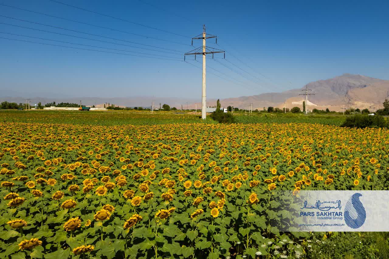 ایستادگی در میان زیبایی….✨  دکل‌های تک‌پایه خودایستای بتنی پارس ساختار؛ نمادی از پایداری و قدرت که در میان گرمای خورشید و رنگ‌های زنده آفتابگردان، نه تنها نفوذی نیست، بلکه بخشی از این منظره‌ی بی‌نظیر شده است.  گاهی برای باشکوه بودن، لازم نیست بر طبیعت غلبه کرد، بلکه باید در کنار آن ایستاد.»  💢 گزارش تصویری از پروژه ماندگار “خط انتقال ۱۳۲ کیلوولت دو مداره سیمان آذرآبادگان خوی”      💎پارس ساختار نماد تلاش و پویایی
