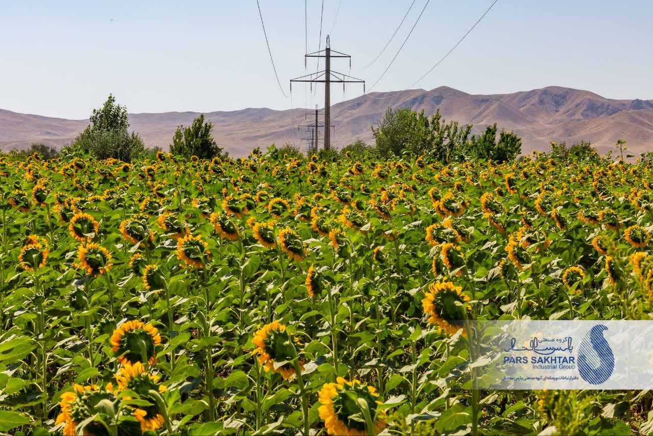 ایستادگی در میان زیبایی….✨  دکل‌های تک‌پایه خودایستای بتنی پارس ساختار؛ نمادی از پایداری و قدرت که در میان گرمای خورشید و رنگ‌های زنده آفتابگردان، نه تنها نفوذی نیست، بلکه بخشی از این منظره‌ی بی‌نظیر شده است.  گاهی برای باشکوه بودن، لازم نیست بر طبیعت غلبه کرد، بلکه باید در کنار آن ایستاد.»  💢 گزارش تصویری از پروژه ماندگار “خط انتقال ۱۳۲ کیلوولت دو مداره سیمان آذرآبادگان خوی”      💎پارس ساختار نماد تلاش و پویایی